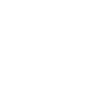 自家製がり